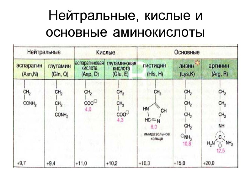 Нейтральные, кислые и основные аминокислоты